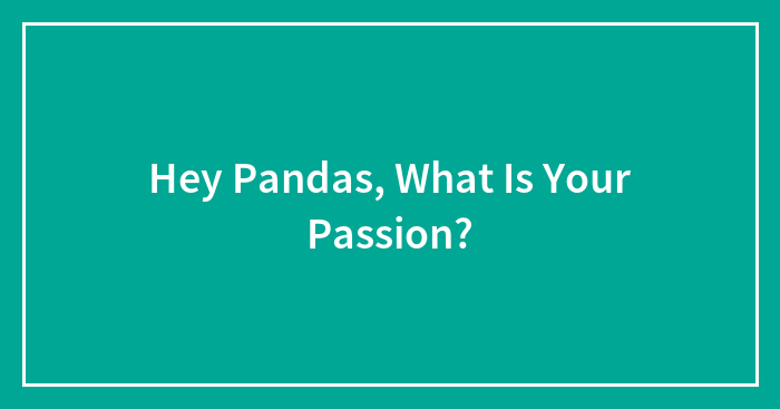 Hey Pandas, What Is Your Passion? (Closed)