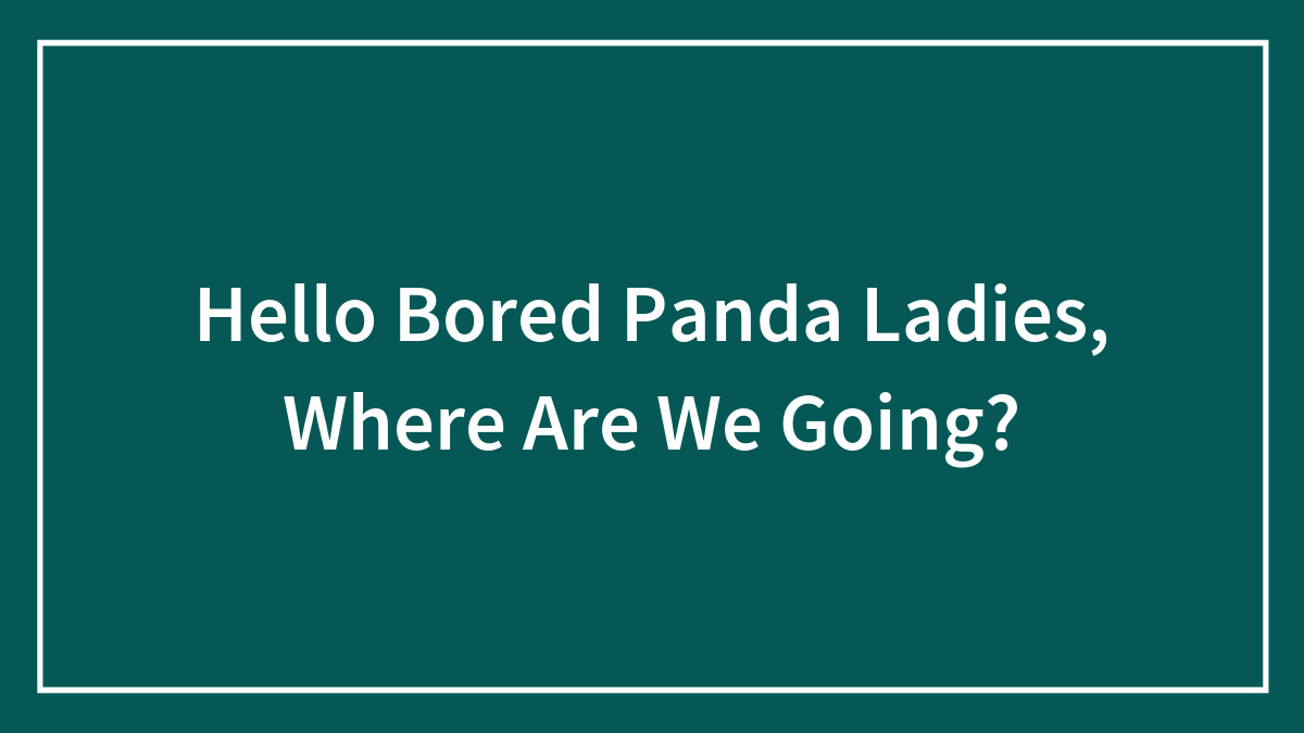 Hello Bored Panda Ladies, Where Are We Going?