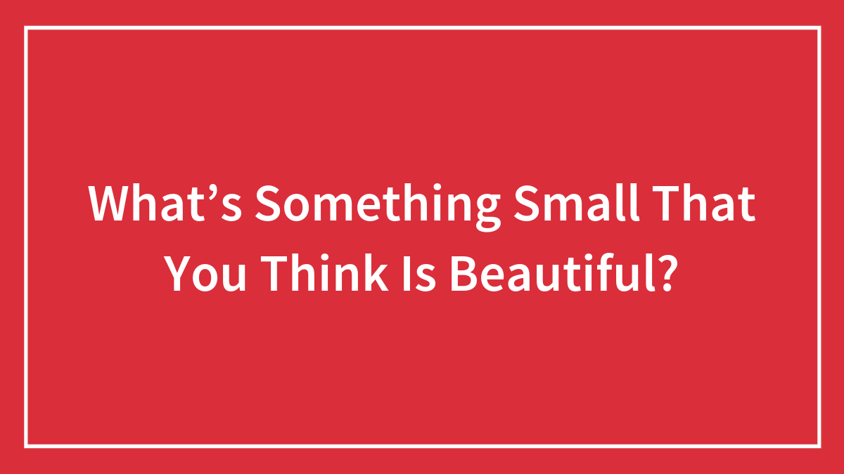 What’s Something Small That You Think Is Beautiful?
