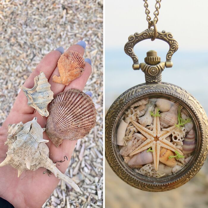 I Made Jewellery Using Shells From An Enchanting Beach