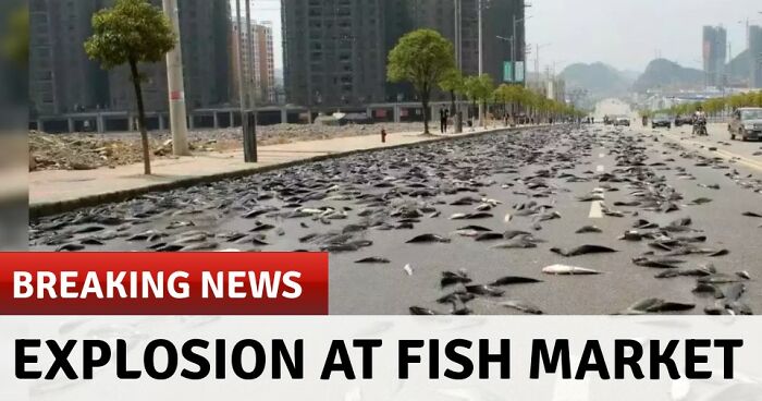 Hey Pandas, Share The Most Random Screenshot You Have On Your Phone! (Closed)