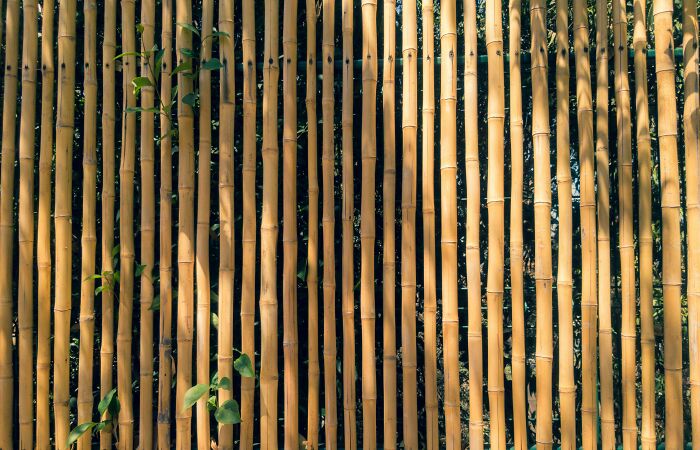 Creative And Stylish Fence Designs For Modern Homes