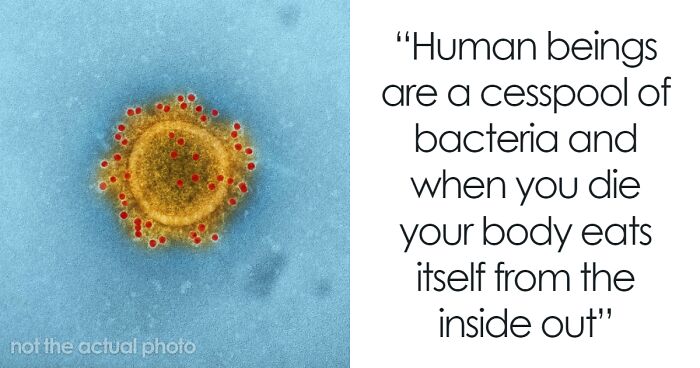 30 Cool But Pretty Disturbing Facts About The Human Body That Not Many People Know About