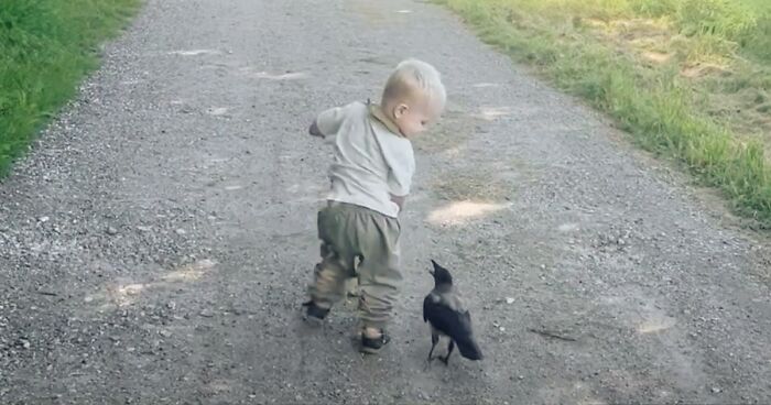 “They Have A Special Bond”: A 2-Year-Old Boy And His Crow