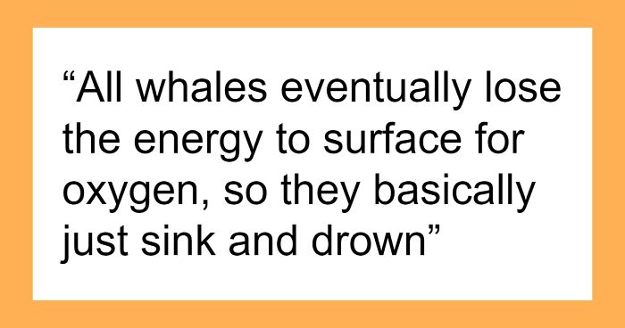 “Someone Saw Him Dancing With The Corpse”: 50 Of The Most Unsettling Facts People Ever Heard