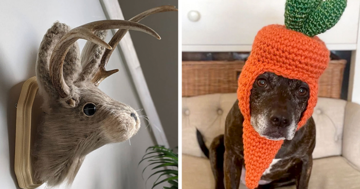 100 Times Creatives Came Up With The Most Interesting DIY Ideas For Easter (New Pics)