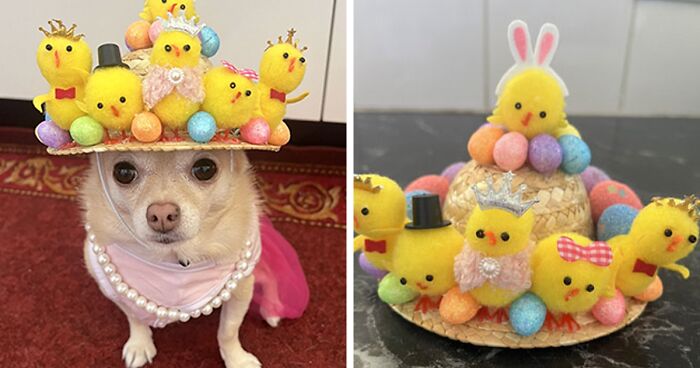 100 Times Creatives Came Up With The Most Interesting DIY Ideas For Easter (New Pics)