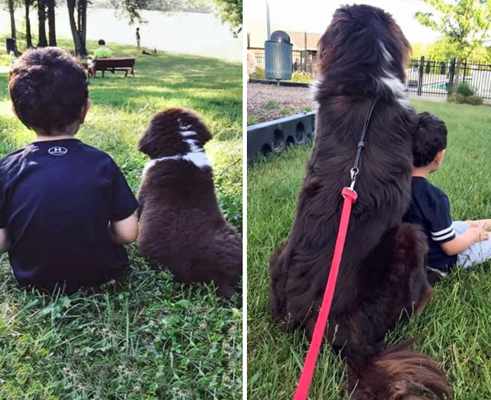 These Pictures Are Taken 10 Months Apart
