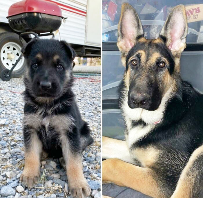 Only 4 Months Difference. He Grew So Fast