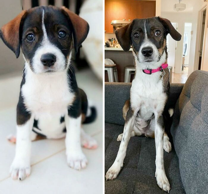 From 6 Weeks To 8 Months