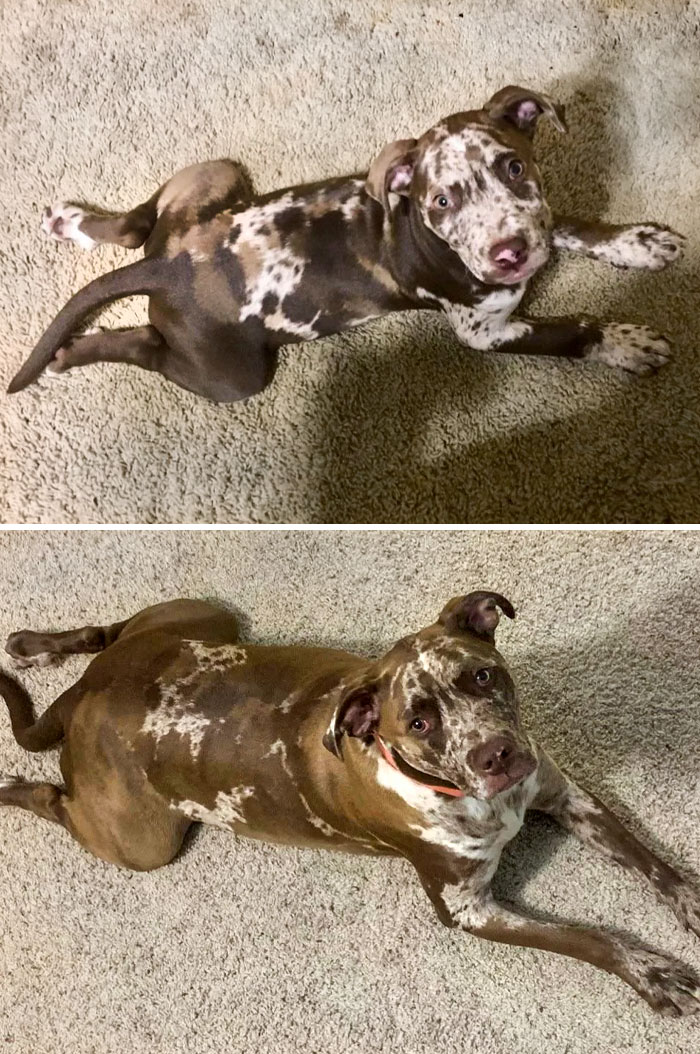 2 Years Later, Still Splooting
