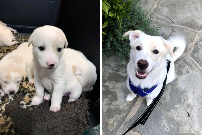 1 Month And 1 Year Of Little Mia