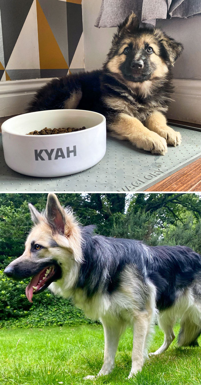 My Girl From 8 Weeks To 1 Year
