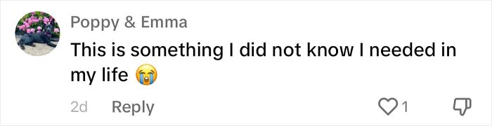 Dog Daycare Steals The Show, Recreating Hilarious Movie Posters Of Oscar-Nominated Films (10 Posters) Dog Daycare Steals The Show, Recreating Hilarious Movie Posters Of Oscar-Nominated Films (10 Posters)