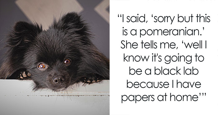 30 Stories Of People Being So Dumb They Could Score Negative On An IQ Test