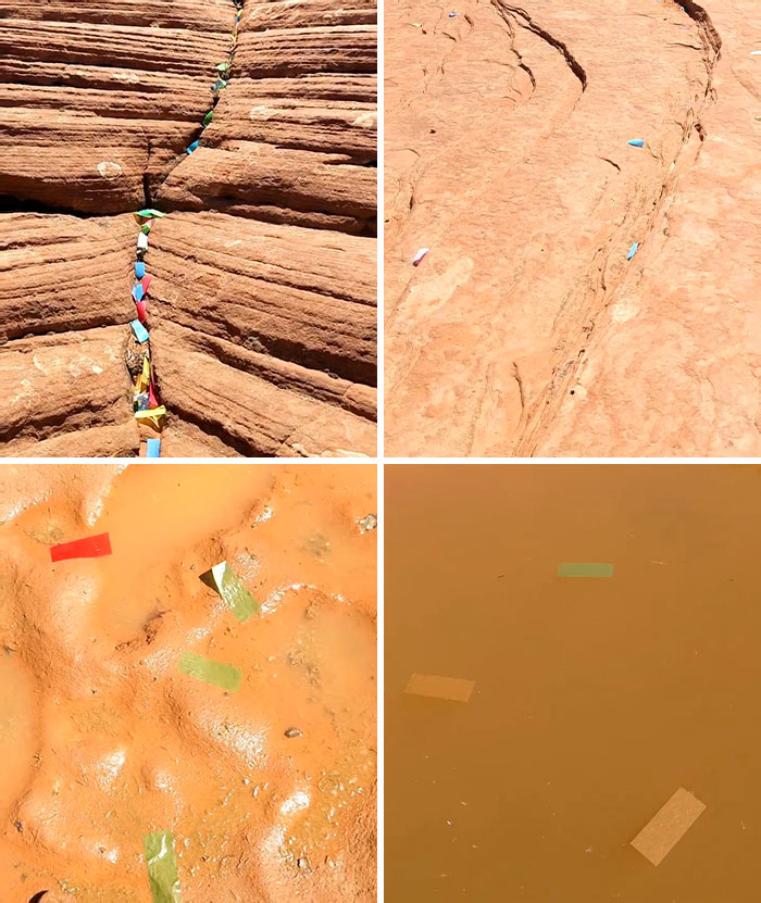Tourist Unleashed A Confetti Gun Onto The Ephemeral Pools And Petrified Lands Of Snow Canyon State Park