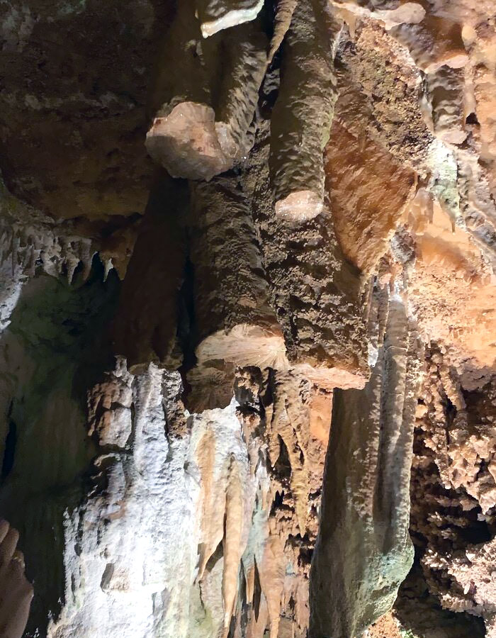 Someone Stole Stalactites From This Forest Attraction In Portugal