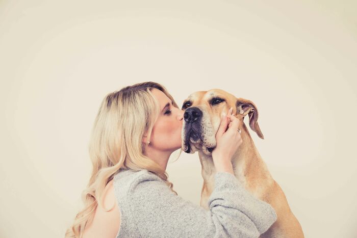 Kiss For Nala The Great Dane Cross Rescue Dog From South Africa