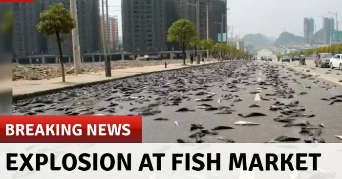 Hey Pandas, Share The Most Random Screenshot You Have On Your Phone! (Closed)