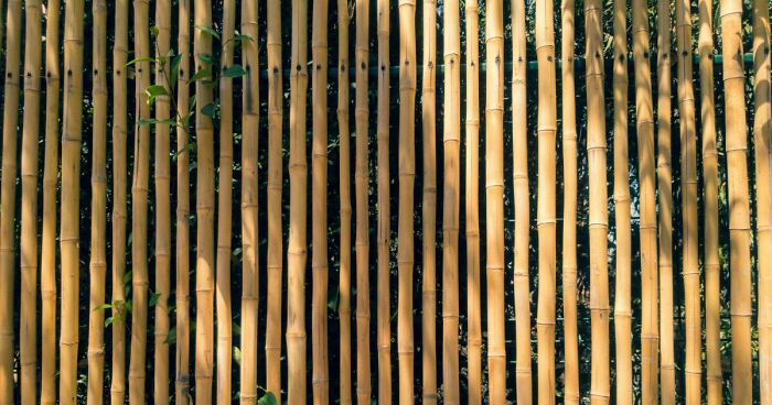 Creative And Stylish Fence Designs For Modern Homes