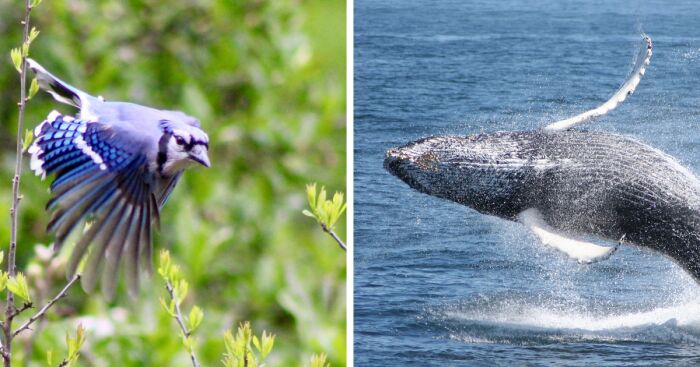 Hey Pandas, Post Your Best Nature Photograph You’ve Taken (Closed)