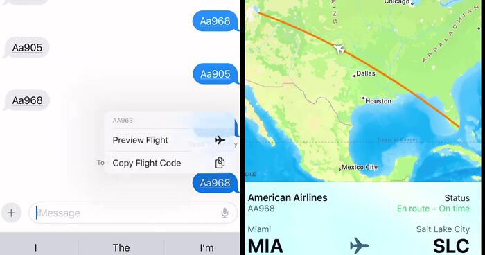 Woman’s Flight Hack Gets Over 17M Views, She Says You Need To Send Yourself A Text Message