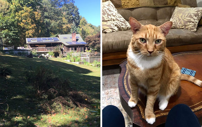 People Online Are In Love With This Adorable Cat Who Takes Its Owner’s Guests For Guided Hikes