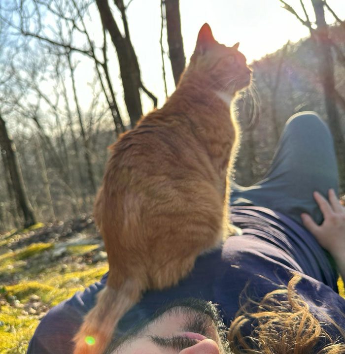 People Online Are In Love With This Adorable Cat Who Takes Its Owner’s Guests For Guided Hikes