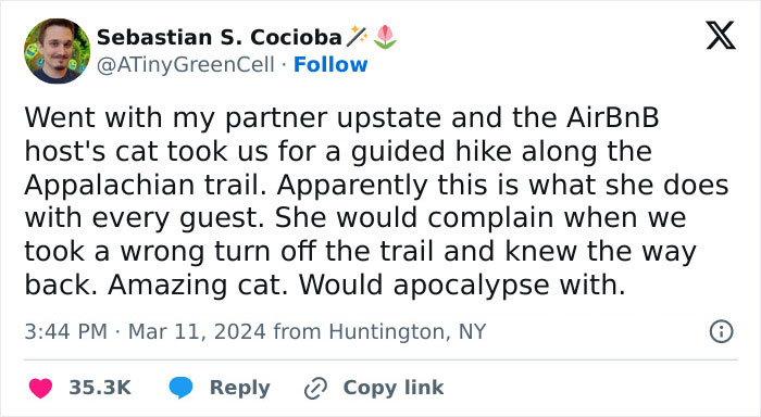 People Online Are In Love With This Adorable Cat Who Takes Its Owner’s Guests For Guided Hikes People Online Are In Love With This Adorable Cat Who Takes Its Owner’s Guests For Guided Hikes