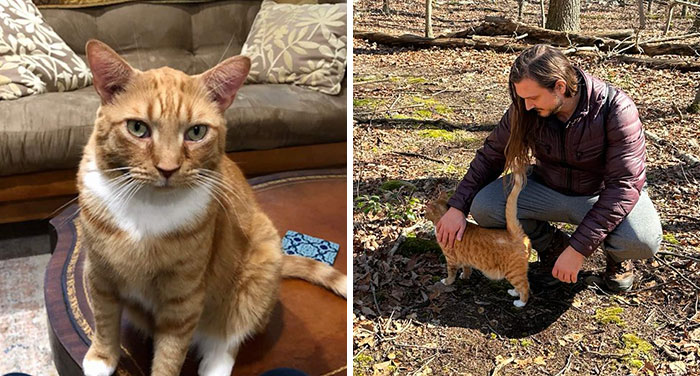 Airbnb Host’s Cat Takes Guests On Guided Hikes, And People Online Are Loving It