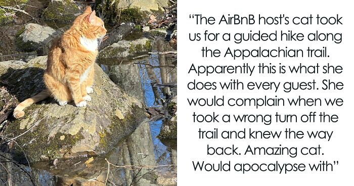 Cat Takes Couple For A Guided Tour Along Appalachian Trail When They Stay At Airbnb, Goes Viral