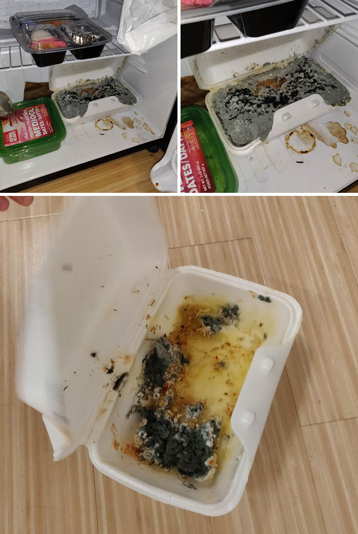 Friend Left Rice In Their Fridge For 7 Months And Forgot About It, This Is How It Turned Out