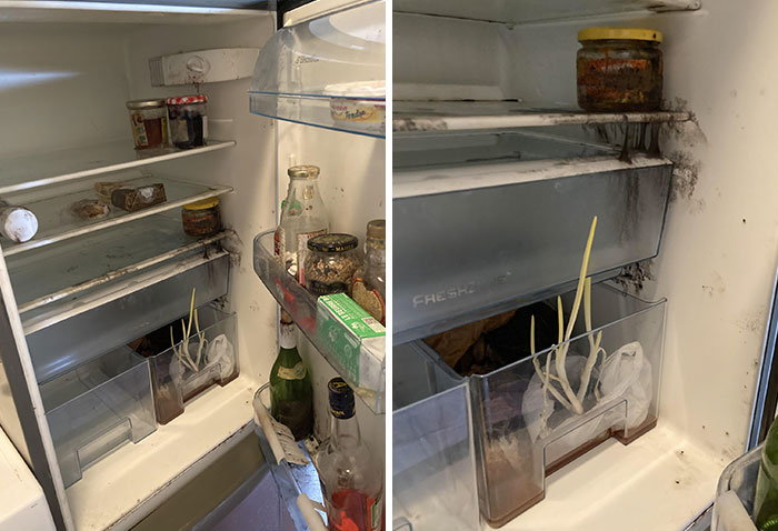 Came Back To My Place In The City I Work In After A Couple Of Months Away, And Apparently, My Roommate Turned The Electricity Off When He Left But Forgot To Clean The Fridge