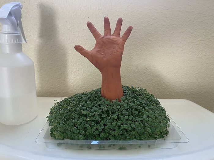 Grow Your Own Zombie Garden: Zombie Arm With Seed Pack, Decorative Pottery Planter