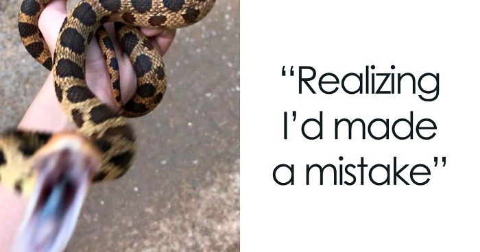 This Facebook Group Is All About “Oof” Wildlife Photos, And They Are So Bad They’re Good