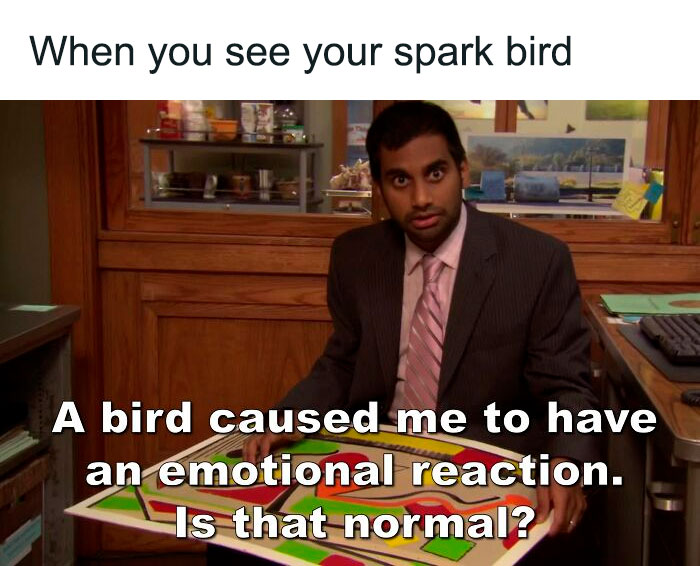 Funny-Birding-Memes