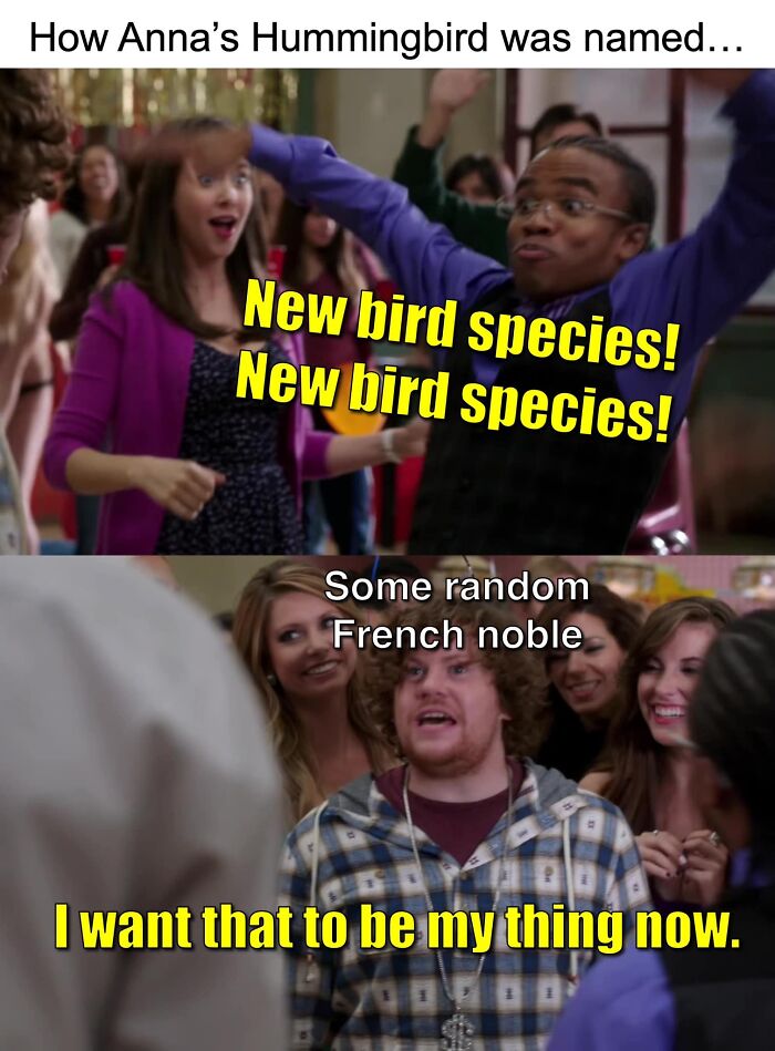 Funny-Birding-Memes