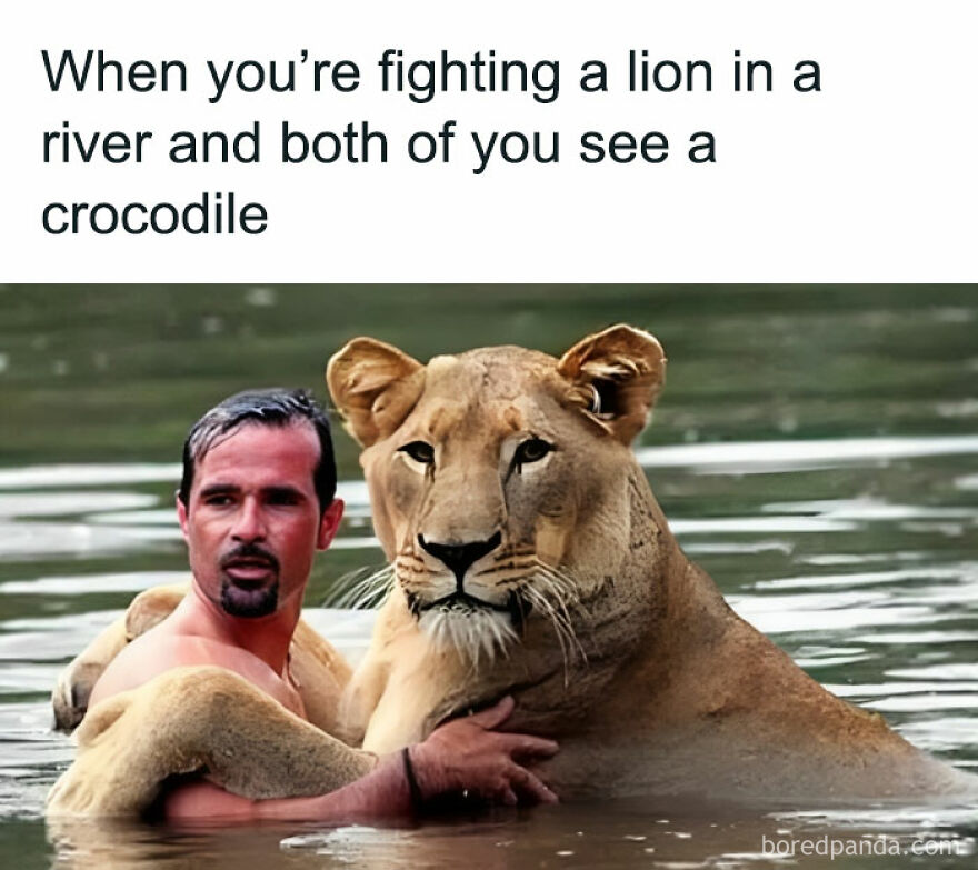 50 Adorable And Funny Situations With Animals That Were Perfect To Make 