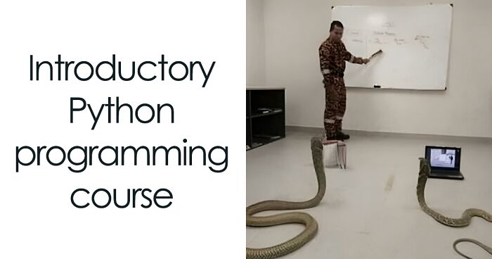 50 Adorable And Funny Situations With Animals That Were Perfect To Make Memes Out Of