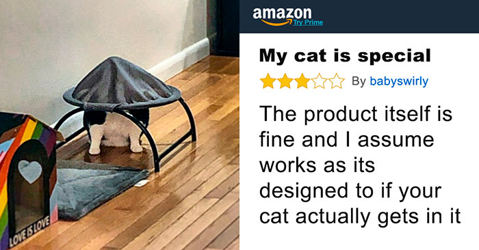 45 Hilarious And Brutally Honest Reviews People Have Shared Online