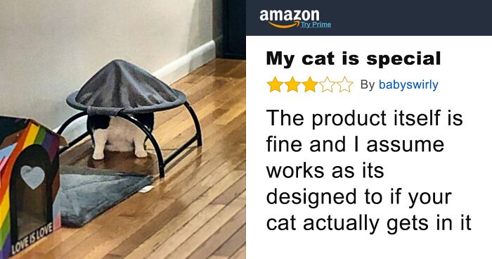 45 Hilarious And Brutally Honest Reviews People Have Shared Online