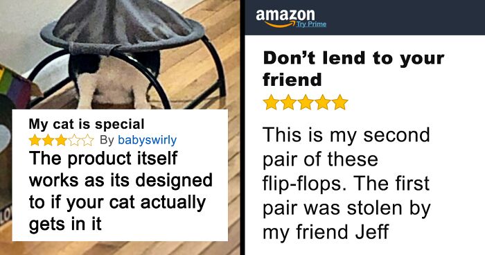 45 Times People Won The Internet With Their Hilarious Reviews