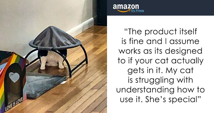 40 Times People Won The Internet With Their Hilarious Reviews