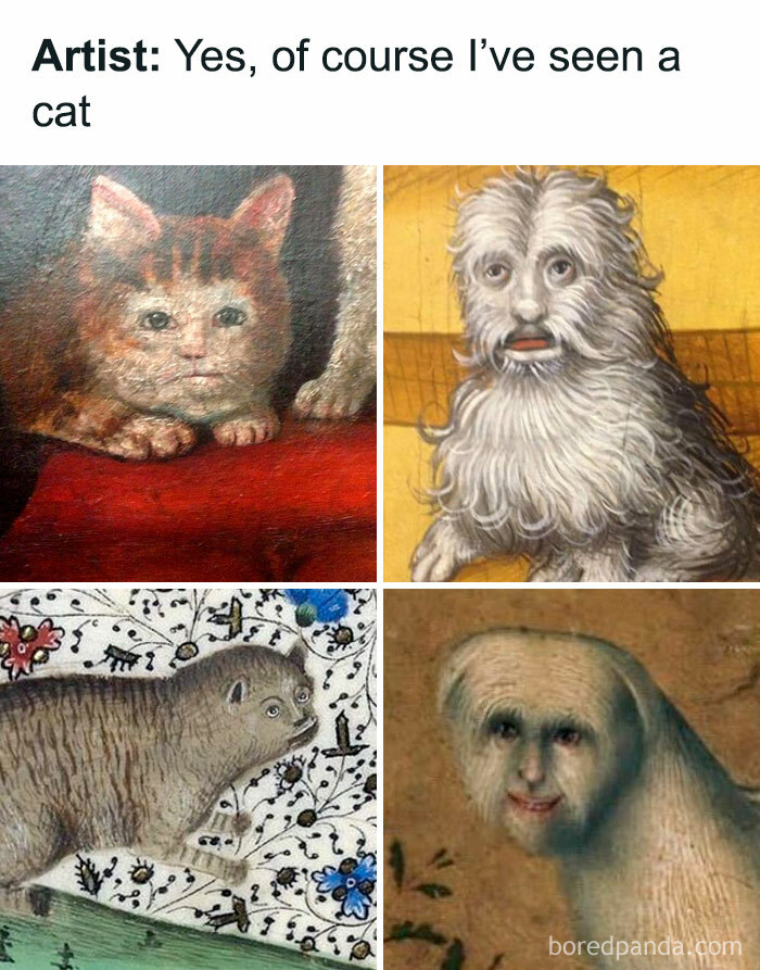 Funny-Relatable-Animal-Memes