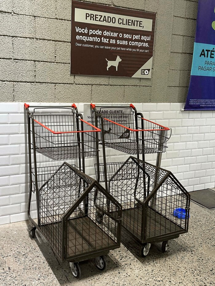 These Shopping Carts Have A Compartment For Pets