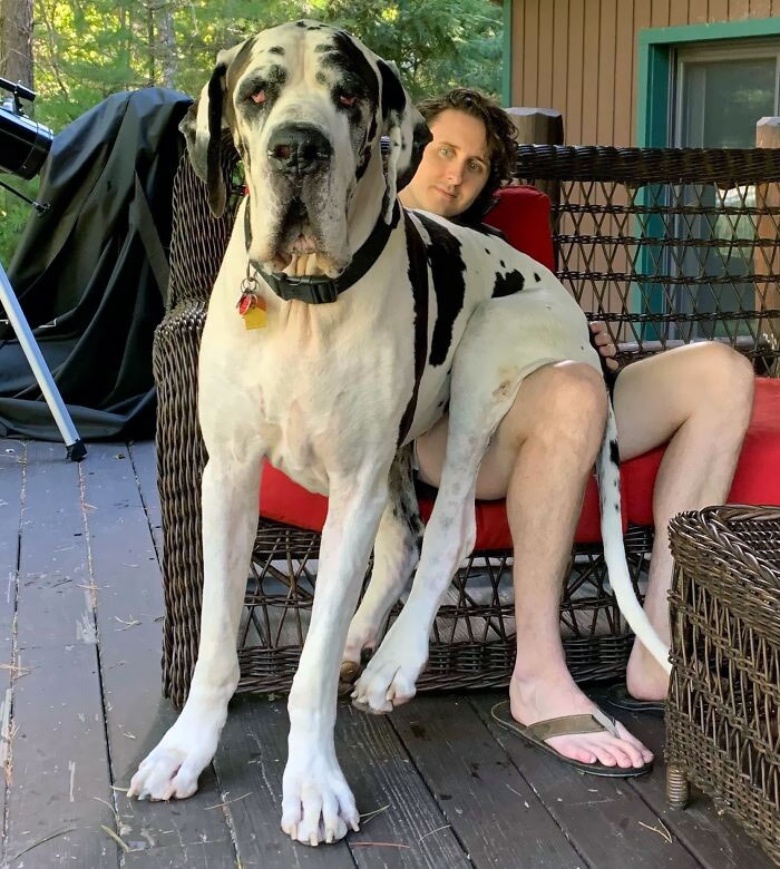 This Is My Lap Dog, Moose