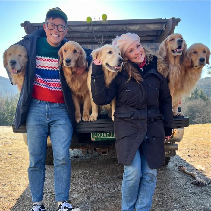“People Cry Because They Are So Happy”: Visitors Flock To Experience The “Golden Retriever Hour” “People Cry Because They Are So Happy”: Visitors Flock To Experience The “Golden Retriever Hour”