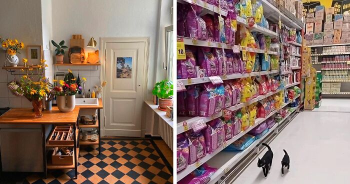 If You’re Feeling Blue, These 50 Pics Might Brighten Your Day