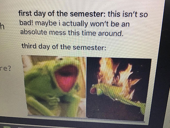 My Teacher Put This Meme In Her Presentation