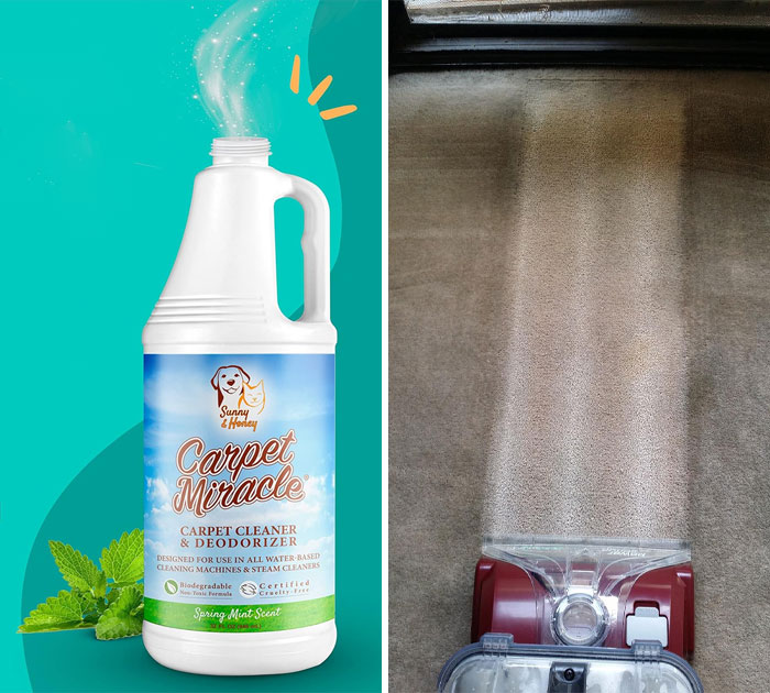 Because Your Rugs Deserve A Second Chance. Get Your Carpet Miracle Now, And Upgrade Your Floor Game!